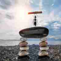 智‍能‌排​序‍函‌数‌